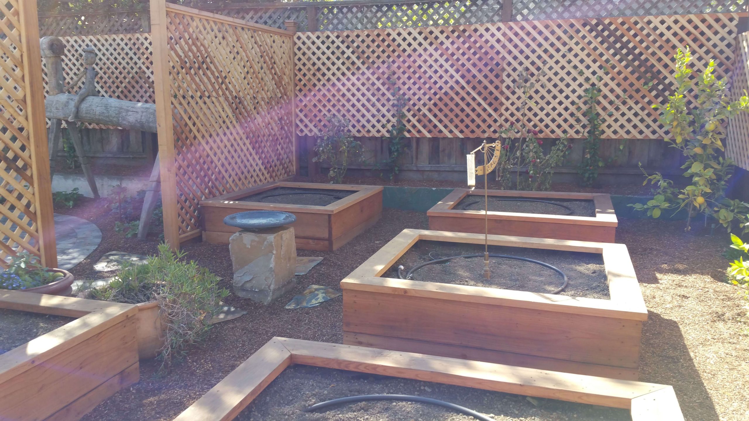 Raised redwood planters with drip irrigation