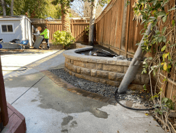 Completed garden paths with pavers, bordered by green plants and bushes, with a focus on the flow of the design.