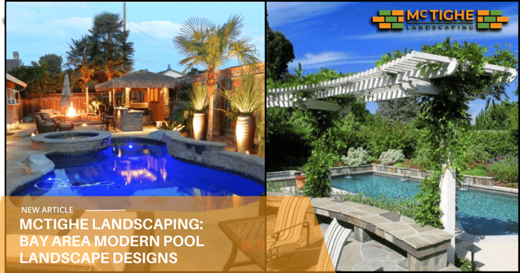 outdoor living, seamless transition, Bay Area modern pool hardscape and landscape design with palm trees and pool lighting technology, landscaping native california plants with palm trees, Silicon Valley architecture