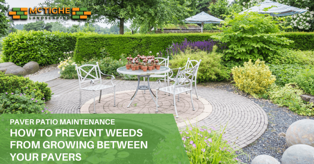 Preventing and addressing common patio paver issues, weed control, settling and unevenness and stain removal