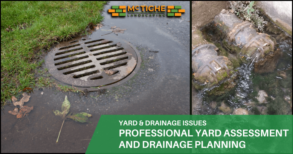 McTighe Landscaping professional inspecting and yard assessment for drainage planning standing water after rain mosquito breeding grounds