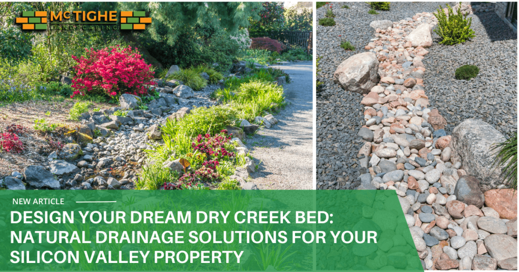 Professionally designed dry creek bed with native plants in a Los Gatos backyard