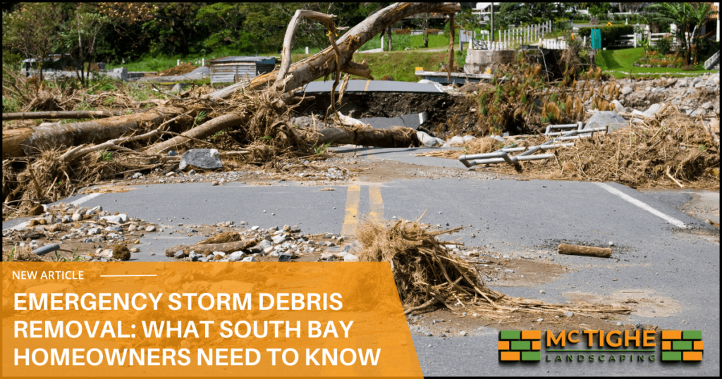 Learn essential tips for storm debris removal in the South Bay Area. Expert guidance from McTighe Landscaping on safety, regulations, and professional services in Los Gatos, Saratoga, and surrounding areas.