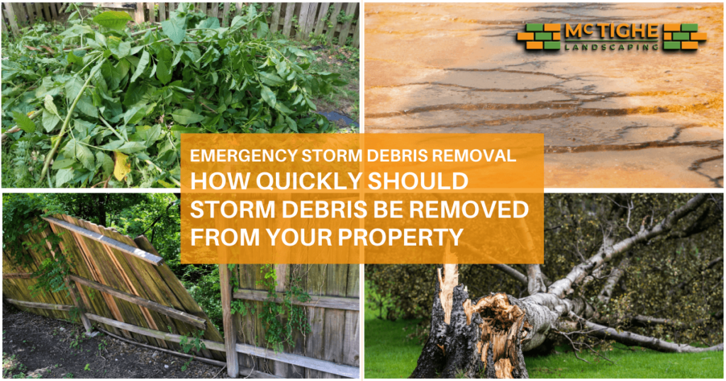 Various types of storm debris commonly found in South Bay Area properties