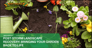 McTighe Landscaping expert post storm landscape and garden recovery in Mountainview California