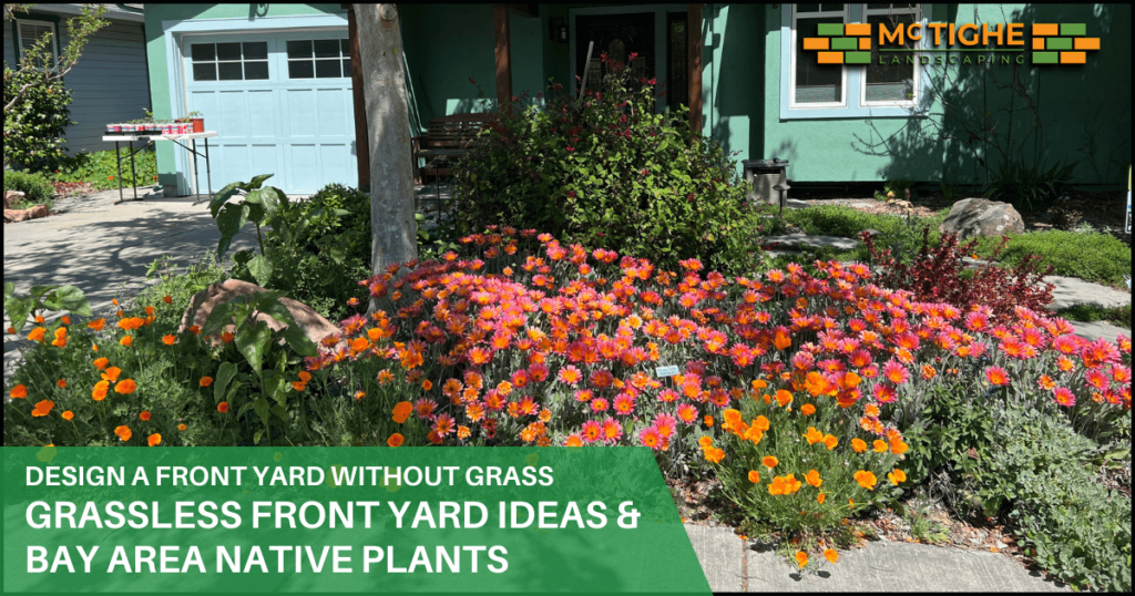 Collection of California native plants using design ideas in a front yard without grass landscaping