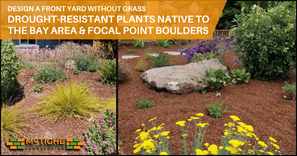 Modern focal point featuring large boulders and drought-tolerant plants in a front yard without grass landscaping and hardscaping design